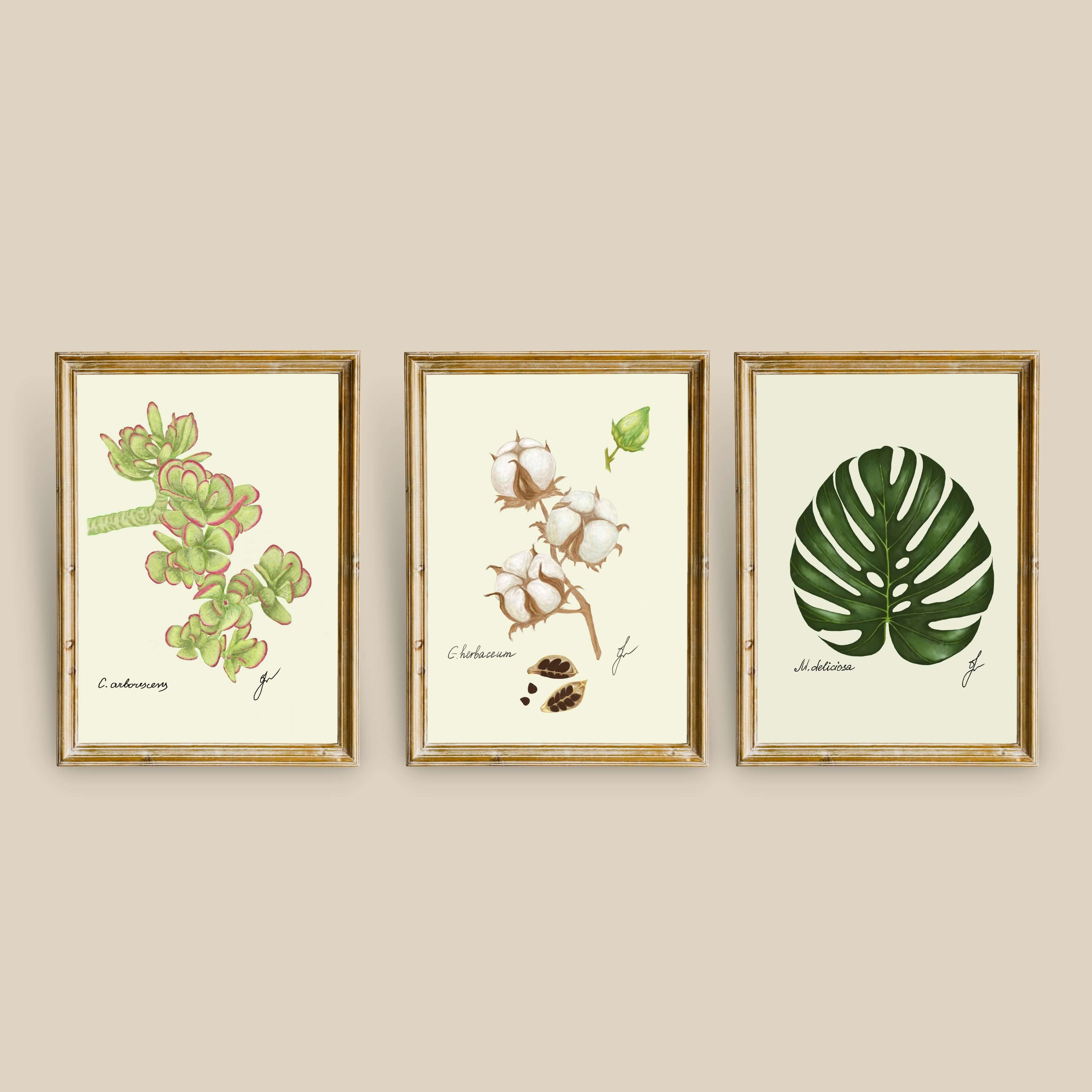 Botanical Illustration: A Perfect Blend of Art